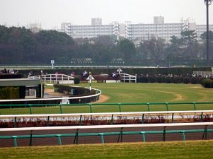 中山競馬場