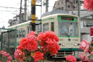 荒川車庫前