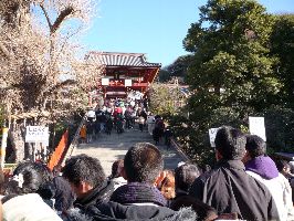 鶴岡八幡宮