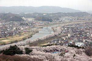 船岡城址と一目千本桜