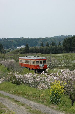 城見ヶ丘〜大多喜