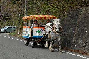 観光馬車