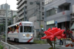 向原～大塚駅前