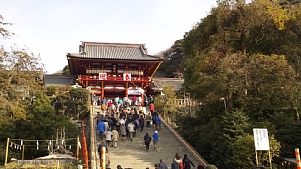 鶴岡八幡宮