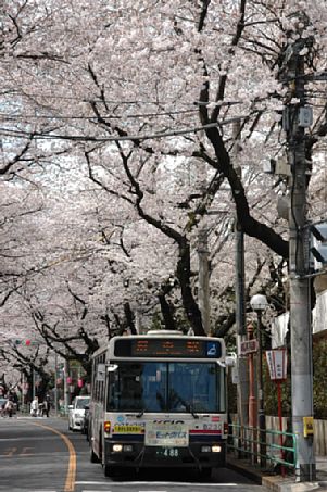 市民球場前～府中駅