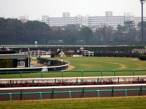 中山競馬場