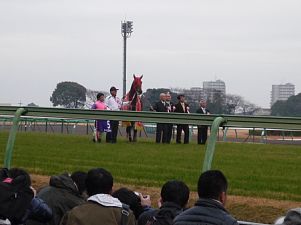 中山競馬場