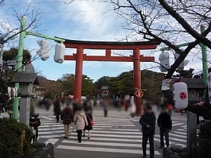 鶴岡八幡宮