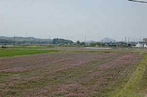 日野