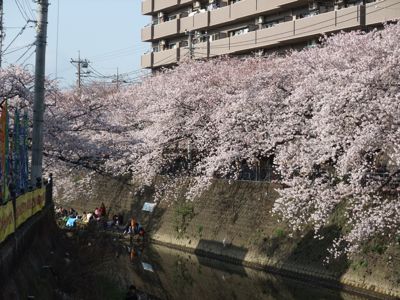 いいのか？そこ降りて