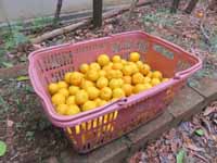 26-01-07-11.jpg 200��150 34K